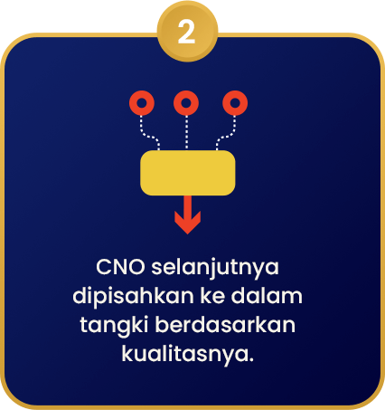 Minyak_Kelapa_Sawit_2_New
